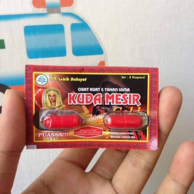 Kuda Mesir Original
