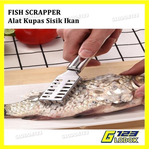 Alat Pembersih Pengupas Sisik Ikan Fish Scale Skin Remover Stainless