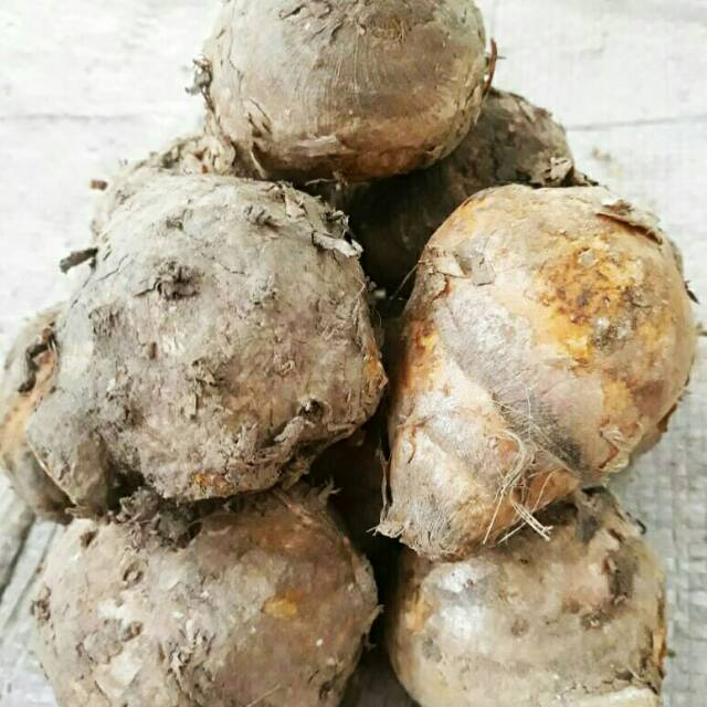 

Temulawak dan Temukunci 250gr