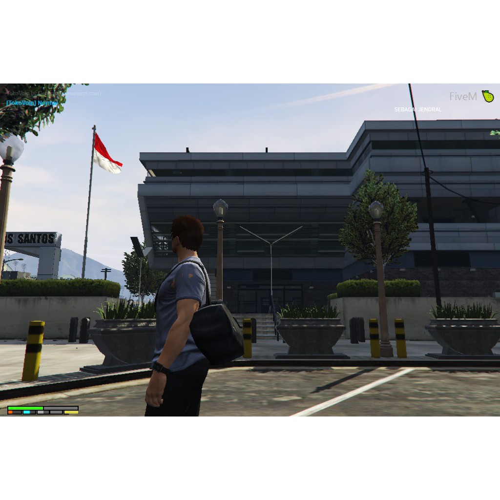 resource GTA V FIVEM