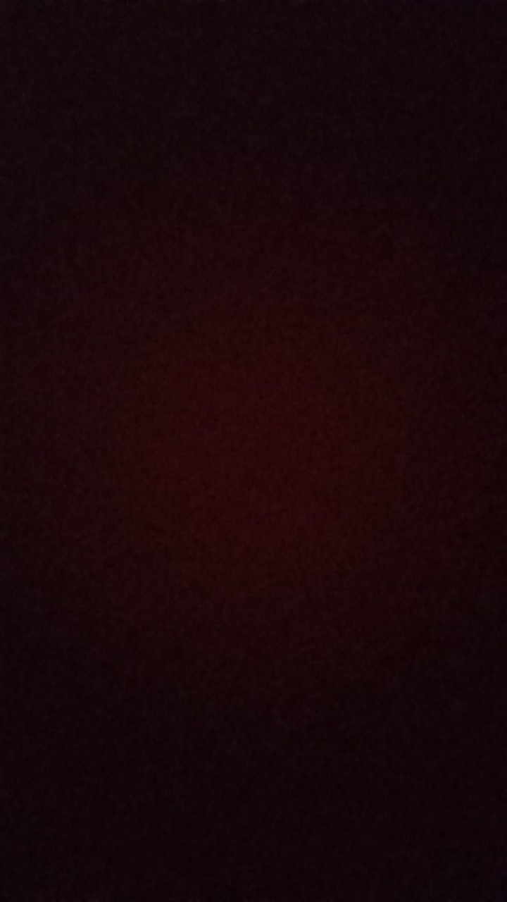 Alokasia Black Velvet Remaja Daun 1 - 2 Dan 3