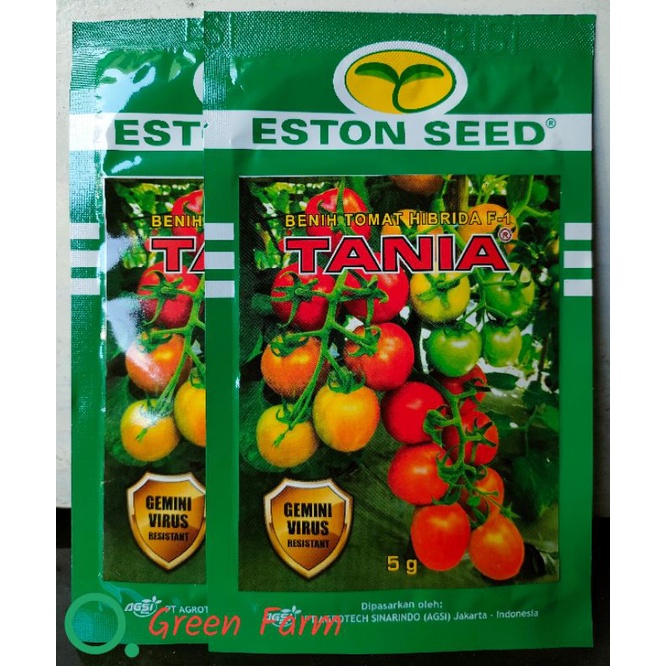 Tomat Tania F1 Tomat Tahan Virus Kemasan 5gr Original Pabrik Eston Seed Andalan