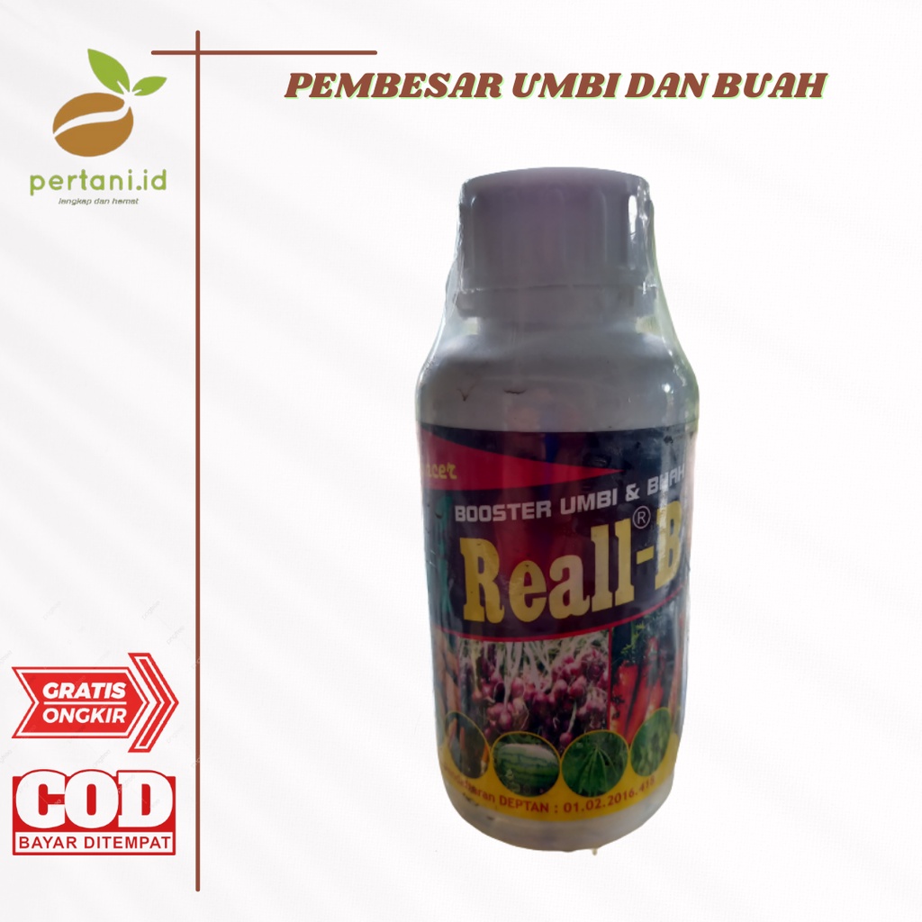 ZPT V-REAL B 500ML / PEMBESAR UMBI DAN BUAH / PERBANYAK ANAKAN BAWANG MERAH