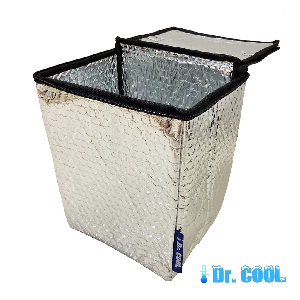 Dr Cool Silvy Box Tas Aluminium Kecil / Icegel Bag Cooler Bag silver Tas tahan panas/ dingin untuk makanan