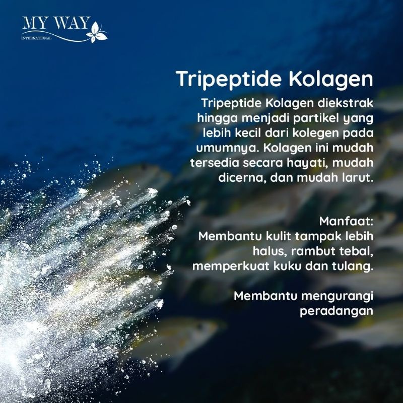 my Way Fiber drink,collagen, Colostrum progreen