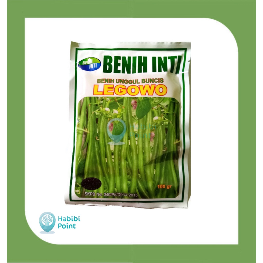 BENIH BIBIT UNGGUL BUNCIS LEGOWO 500gr