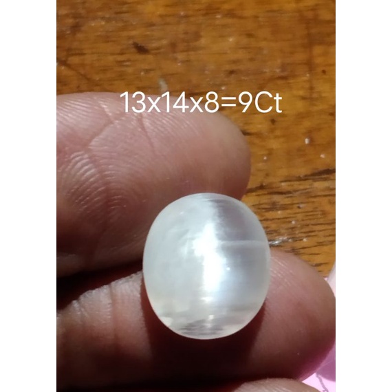 Biduri Bulan Ukuran Jumbo