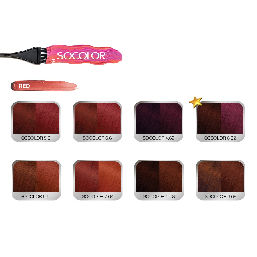 ❤️Glamouroseshop❤️ Matrix So Color / Matrix Socolor 90ml (Seri Copper, Gold Brown, Red)