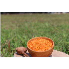 

fs2011bb Natural Red Lentil/ Organik Kacang Lentil Merah, 1 Kg Import Sv012Ss