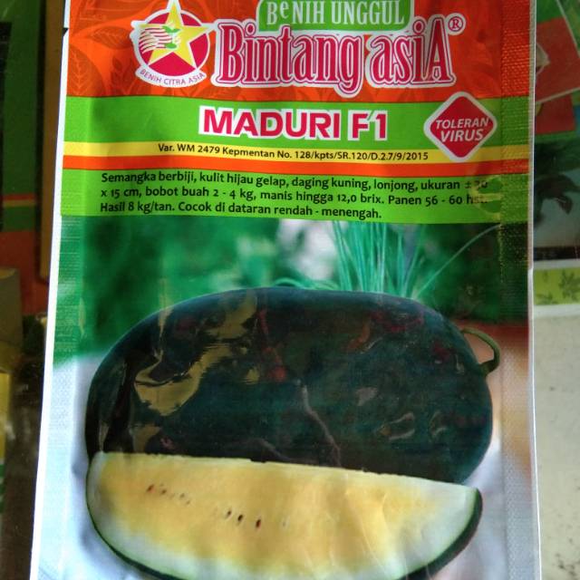 Benih bibit unggul semangka inul kuning maduri 20gram