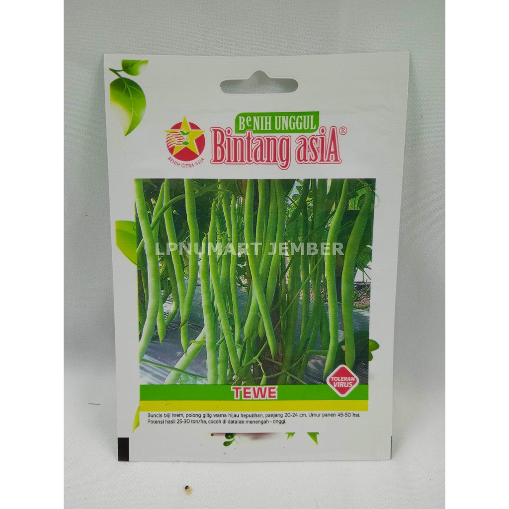 

BenihBibit Buncis Tegak Tala Bintang Asia