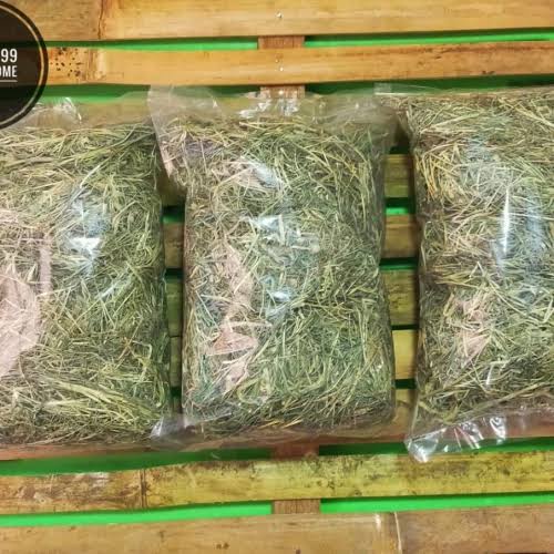 Rumput Hay DACTYLON Repack 1/2 Kg