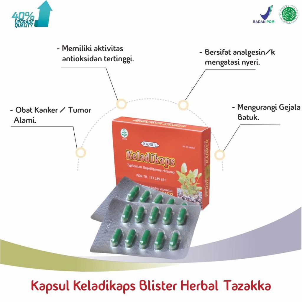 obat herbal kapsul blister keladikaps original tazakka ampuh mengobati kanker tumor miom alami