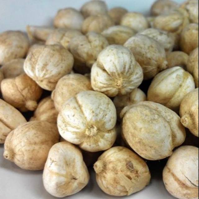 

Kapulaga (Kapol) 25 gram - 100 gram