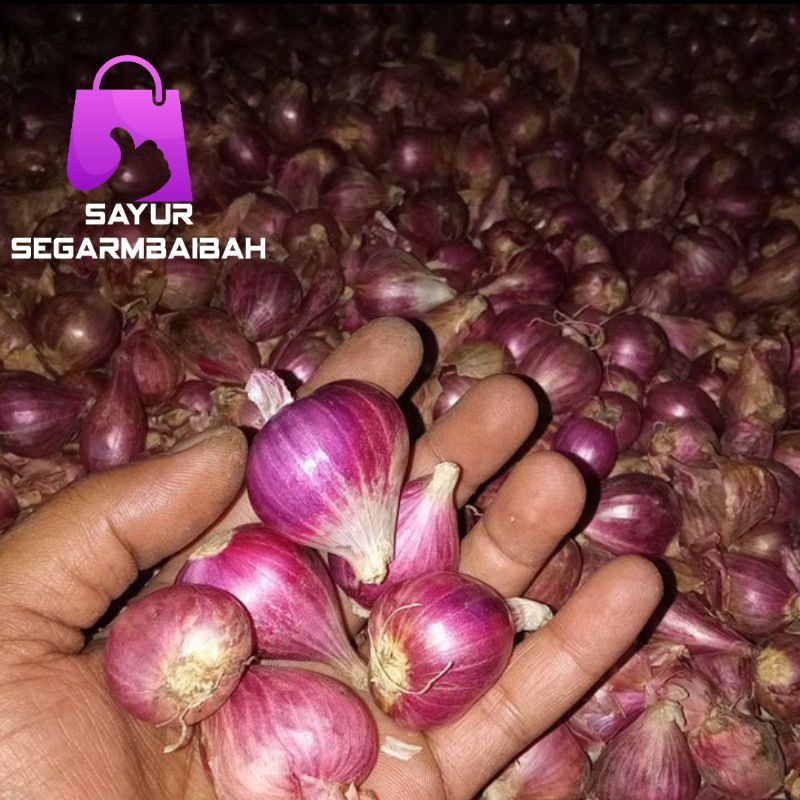 

bawang merah brebes