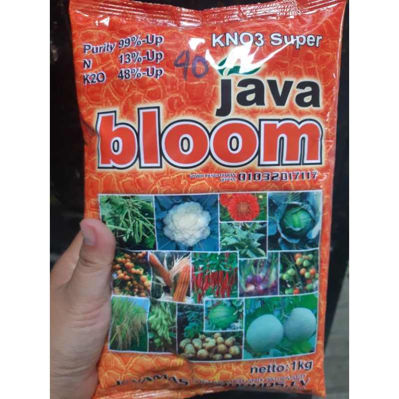 Java Bloom Kno3 Super KNO3