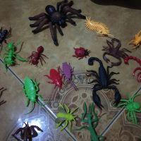 Istanatoys Id Binatang World Insect Binatang Serangga No 666g 17
