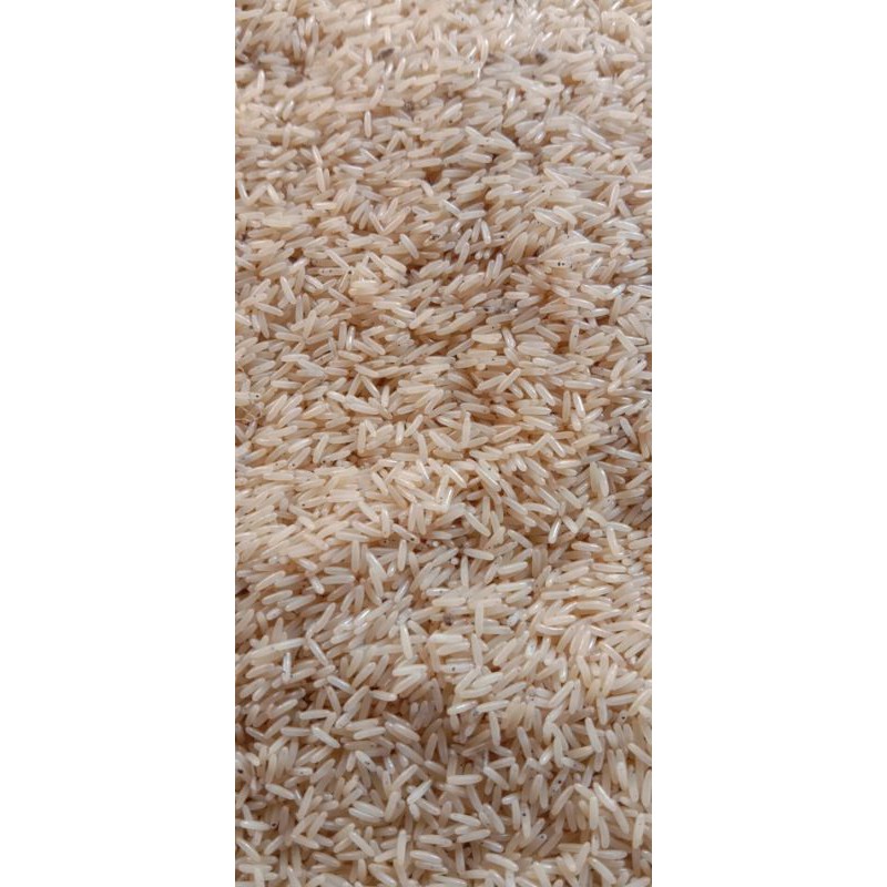 Telur jangkrik alam super