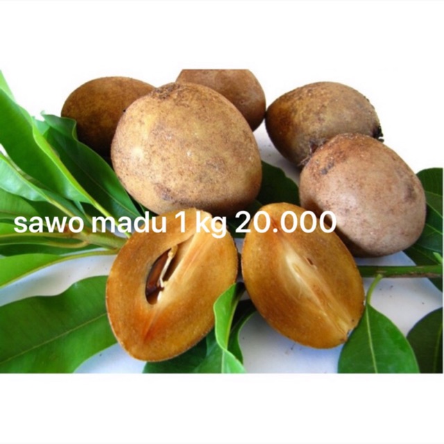 

Buah sawo madu