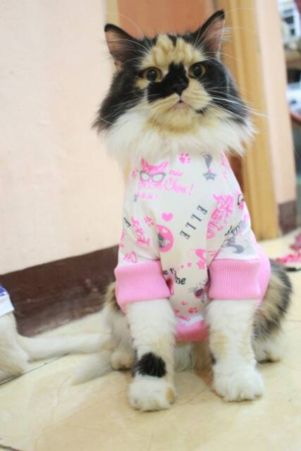 Kaos jumper motif kucing pink lucu banget untuk kucing dan anjing / baju kucing murah size S M L XL