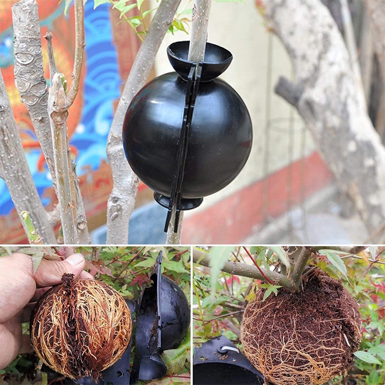 Alat Cangkok Stek Tanaman Model Bola Tekanan Tinggi Untuk Taman Berkebun FEFARM Mulding Cangkok