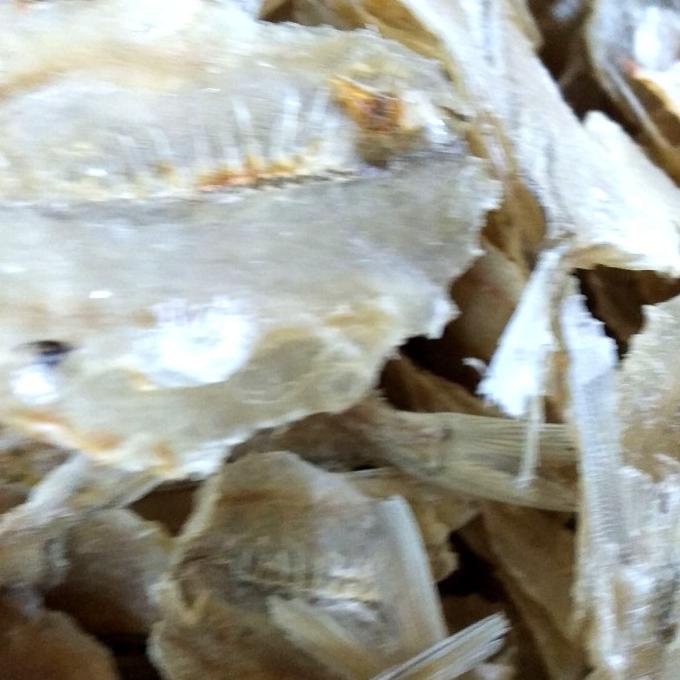 

[COD] ikan tawar kapasan Tampa tulang(250gram) [COD]