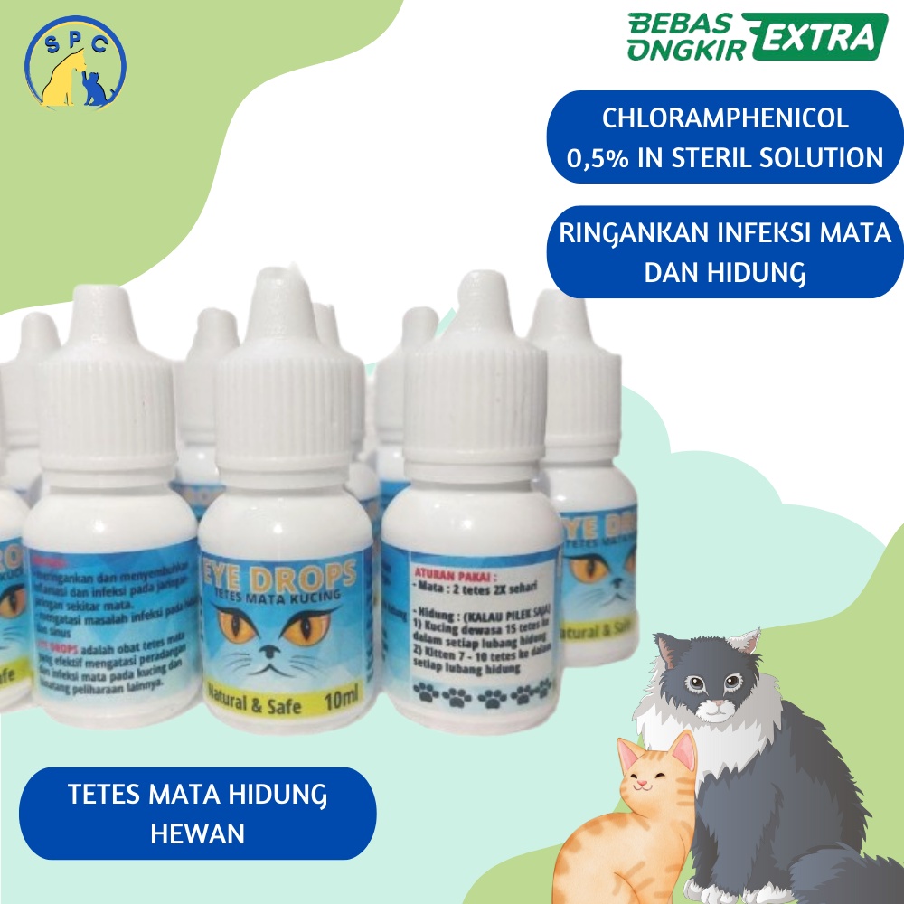 Obat Tetes Mata Kucing untuk Radang Mata Pernafasan Hidung Pilek Kucing