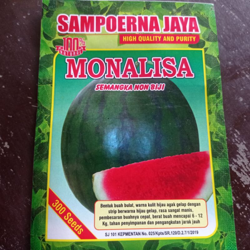 Benih semangka non biji bulat Monalisa