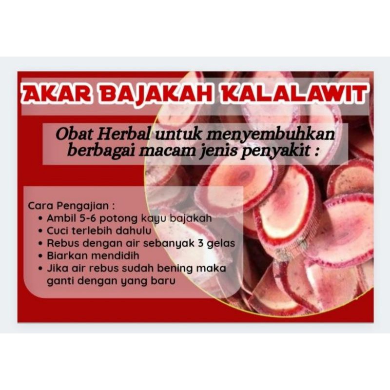 

Akar bajakah kalimantan