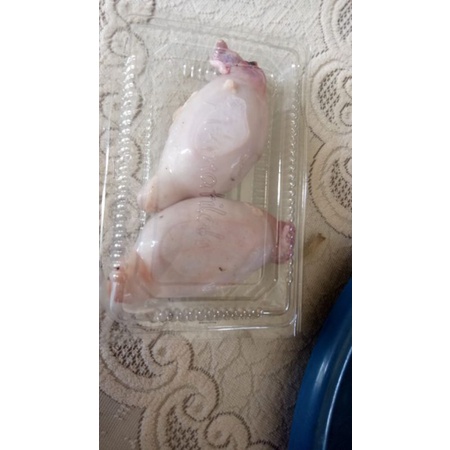 Torpedo Terpedo Kambing Muda 1 pasang