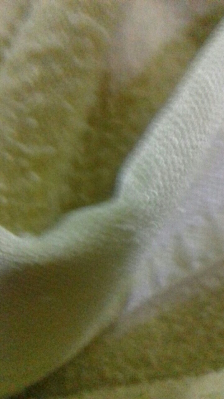 Tempat Bawang Lombok Tbl1051