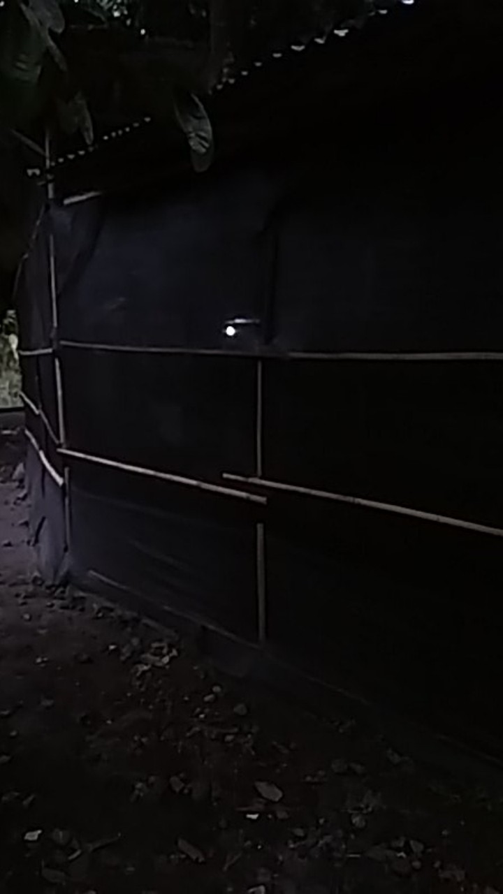 Paranet Premium 85 Persen Lebar 3 M