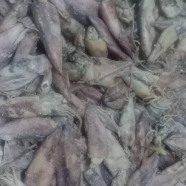 

Cumi asin kering 250 gr