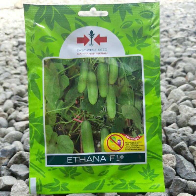 benih Sayur timun lalap ETHANA F1 (175btr) Cap Panah Merah
