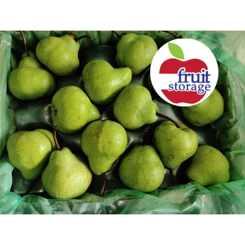 

Buah Pear Packham Hijau Pir Pakam Fresh Manis Import Australia Afrika kiloan