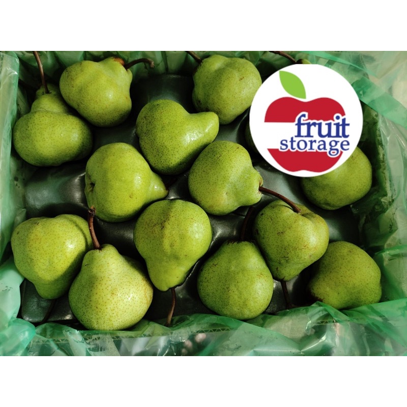 Jual Buah Pear Packham Hijau Pir Pakam Fresh Manis Import Australia Afrika Kiloan Shopee Indonesia 