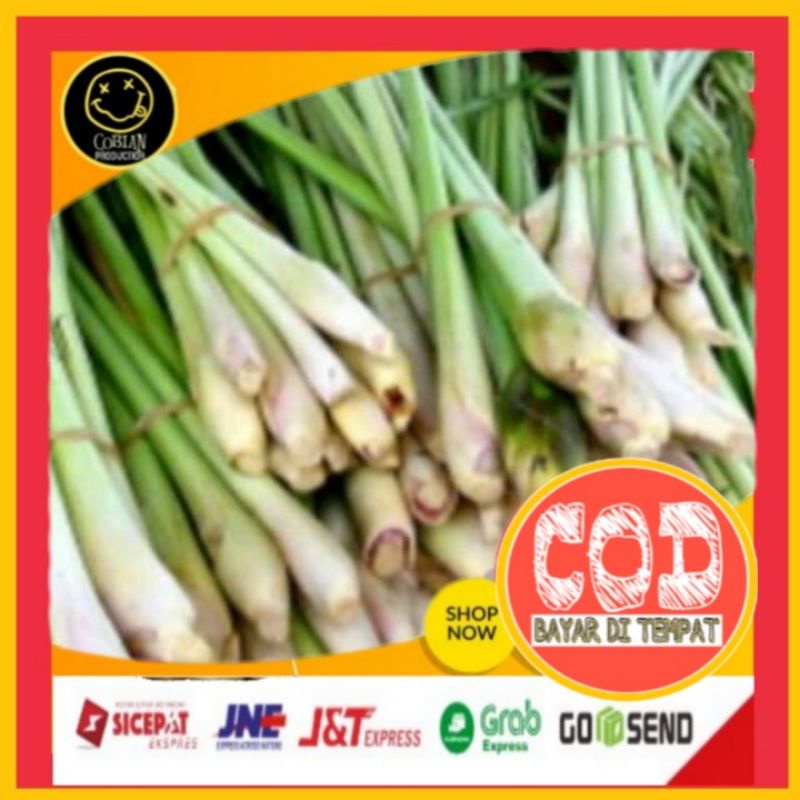

Serai 1 ikat Sereh Sayuran Segar Sayuran Fresh Sayuran Organik Sayuran Online Sayuran Terlaris