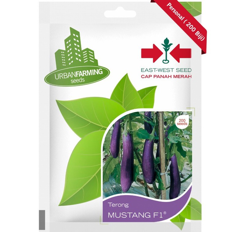 BIBIT TERONG UNGU MUSTANG F1