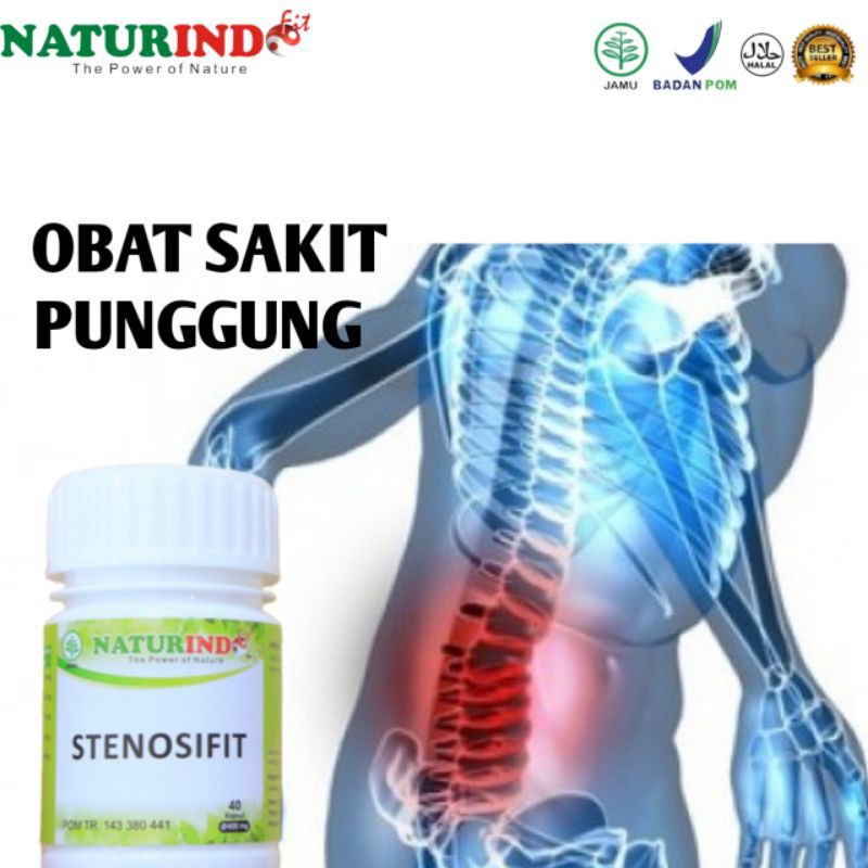 Obat Atasi Sakit Pinggang Punggung kecetit Herbal Kecetit Rematik
