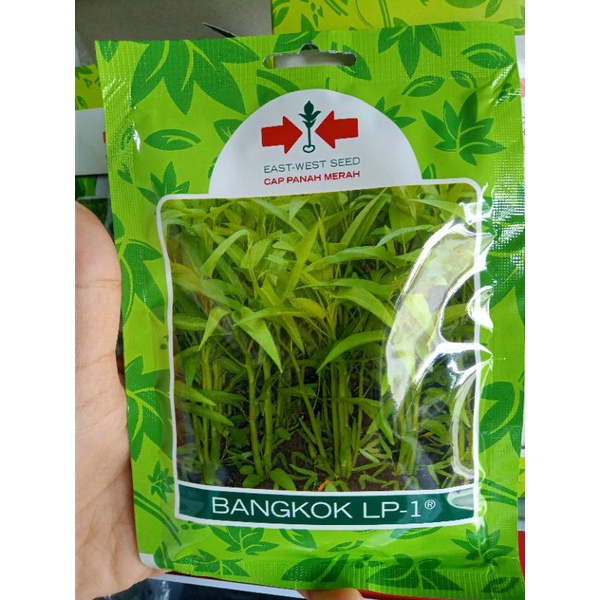 Benih | Winih Kangkung Cap Panah Merah