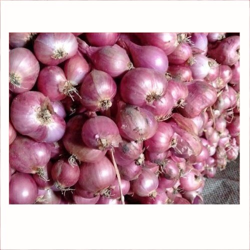 

Bawang Merah Kampung 250gr | Pasar Induk Pekanbaru #Harga_Grosir