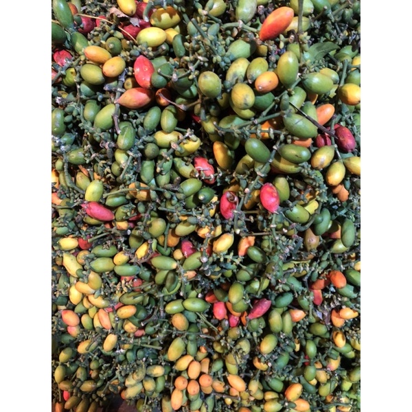 

[Bumi Mart]Melinjo segar 1 kg