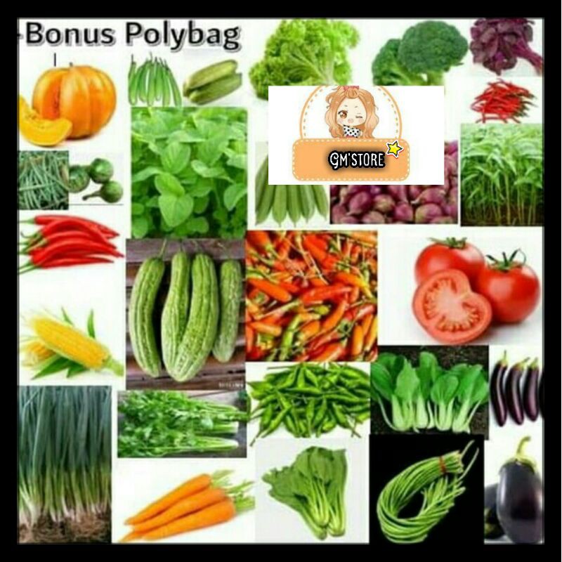 Jual Paket Hemat Jenis Benih Sayuran Bonus Polybag Shopee Indonesia
