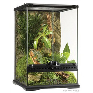 exo terra 36 x 18 x 36 glass terrarium