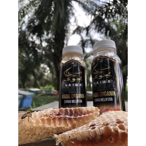 

Madu Najwa