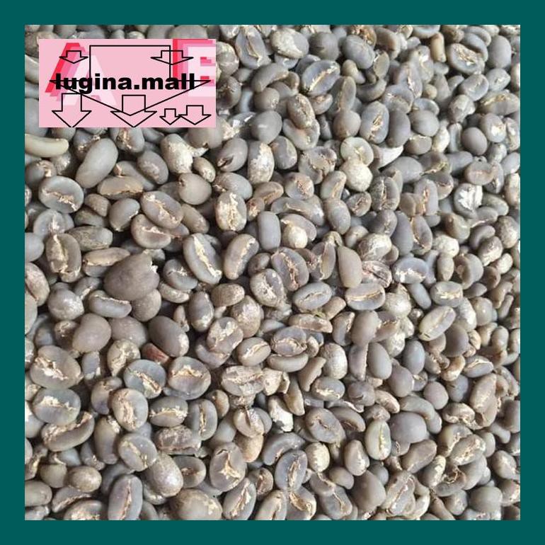 

Koptlu50G Green Bean Arabica Gayo Semi Wash(Wet Hull)1000 Gr (Biji Mentah) Lud5Sc