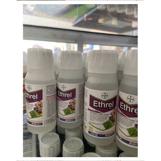 ethrel zpt 100ml ethrel zat penumbuh tanaman ethrel 100ml