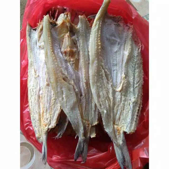 

Ikan gabus jambal laut/250gr