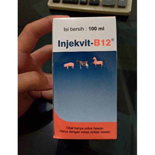 INJEKVIT B 12 100ML