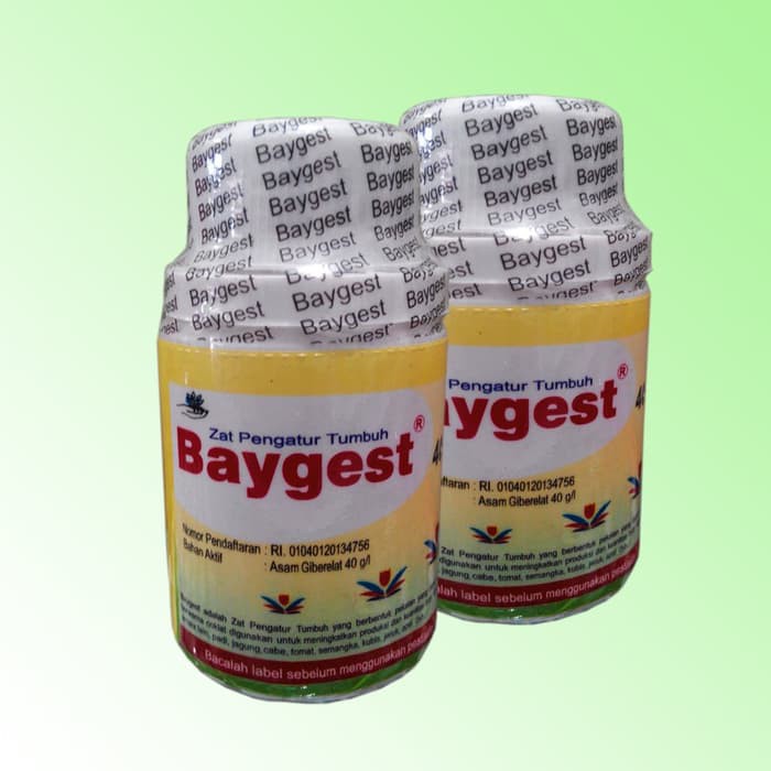 BAYGEST ZAT PENGATUR TUMBUH